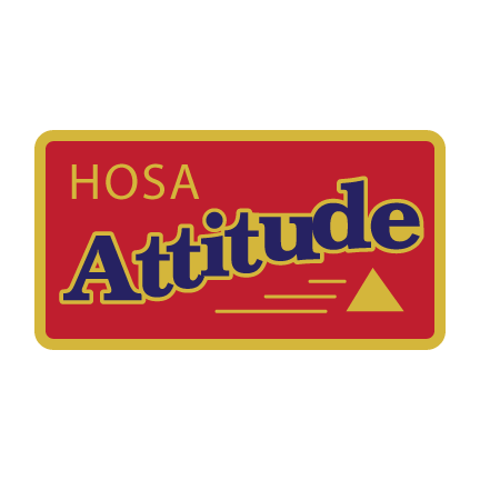 Attitude Pin 