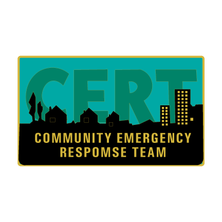 Community Emergency Response Team Pin 