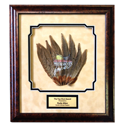 Pheasants Forever Framed Fan of Feathers 