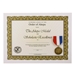 Medal - Scholastic - AHP-ASCHM-100