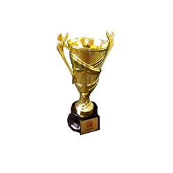 Value Gold Cup Award 