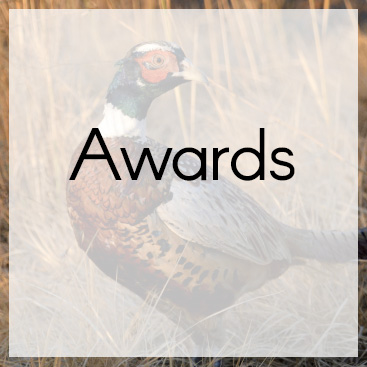 Awards