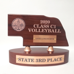 3rd PLACE NSAA Mini Nebraska High School State Trophy  
