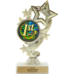 Activity Insert Star Trophy 