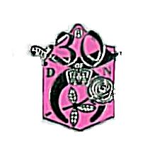 30 Year Lapel Pin