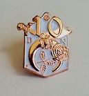 10 Year Lapel Pin