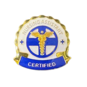 Certified Nursing Assistant Gold Pin 