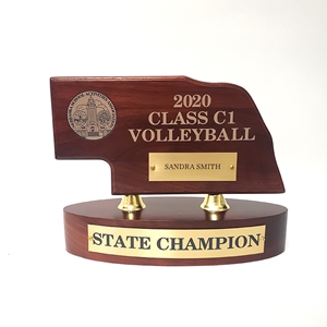 Champion NSAA Mini Nebraska High School State Trophy 