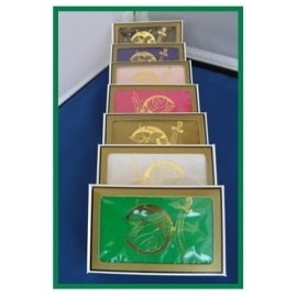 Deck of Cards 