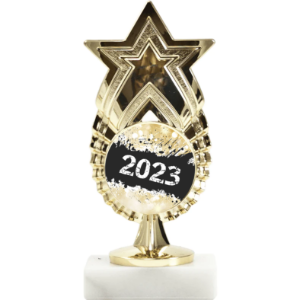 Exclusive Star Figure Award Trophy NO LONGER AVAILABLE 