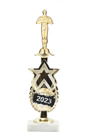 Exclusive Star Riser Award Trophy 