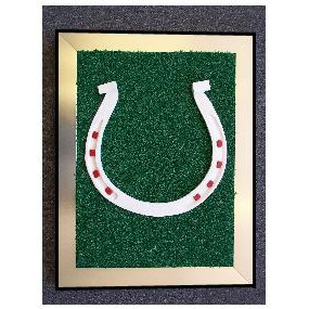 Framing - Tunnel Walk Authentic Horseshoe Replica 