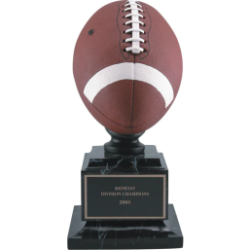 Full Color Football 