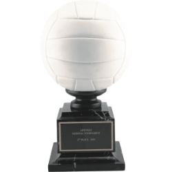 Full Color Volleyball 