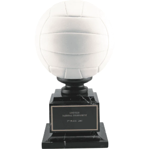 Full Color Volleyball 