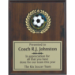 Medallion Cherry Finished Plaque - AAA - Medallion Cherry Finished Plaque