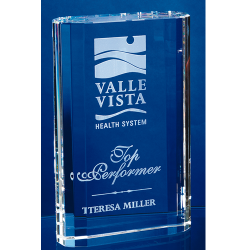 Merit Award (2 Sizes) 