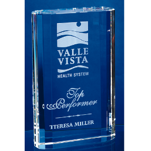 Merit Award (2 Sizes) 