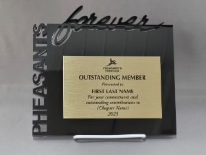 Outstanding Member Acrylic 