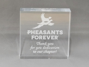 PF-102/QF-102 Thank You Acrylic Award 