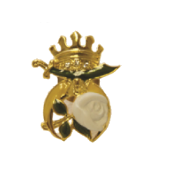Past Queen Pin 