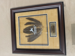 Pheasants Forever Framed Fan of Feathers 