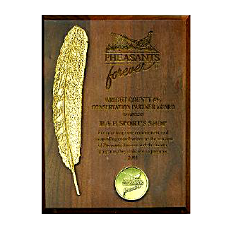 Wooden Feather Plaque 
