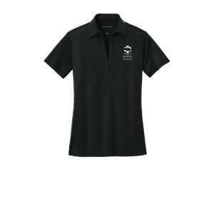 Port Authority® Womens Silk Touch™ Performance Polo 