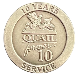 QF-330 10-Year Service Pin 
