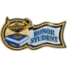 Scholastic Award Pins - AAA - Scholastic Award Pins