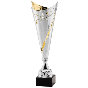 Silver And Gold Modern Cup 