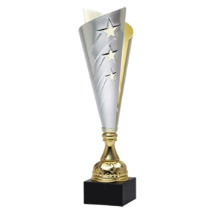Silver And Gold Star Cup 