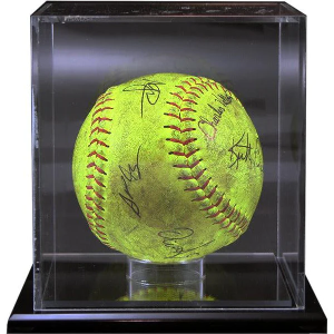 Softball Case 