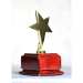 Star Performer Gold Star On Rosewood Base - AAA - Star Performer Gold Star On Rosewood Base