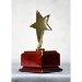 Star Performer Gold Star On Rosewood Base - AAA - Star Performer Gold Star On Rosewood Base