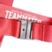 TEAMMATES MEDAL - TMP-Medal