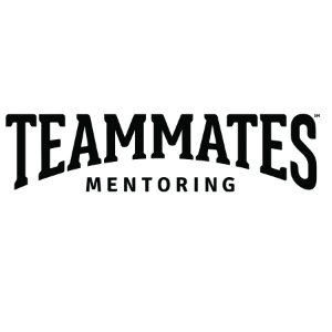 Teammates Iron-on Transfers 