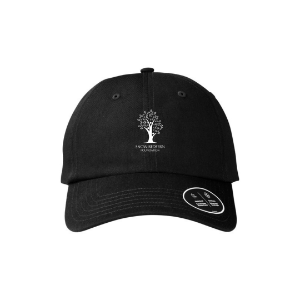 Under Armour Team Chino Hat 