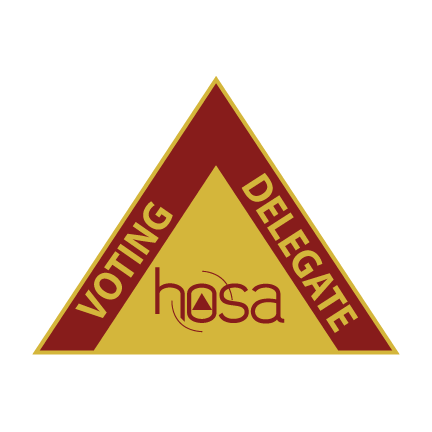 Voting Delegate Pin 