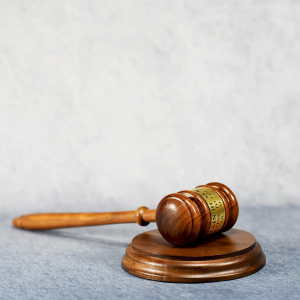 Walnut Gavel With Sounding Block 