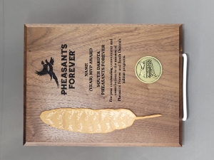 Wooden Feather Plaque 