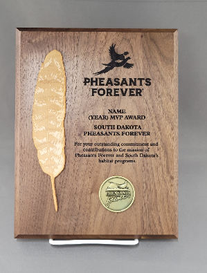 Wooden Feather Plaque 