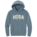 Youth HOSA Est. 1976 Hoodie  - Youth HOSA Est. 1976 Hoodie 2026XS