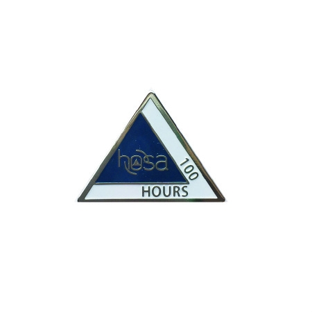 100 Hour Pin