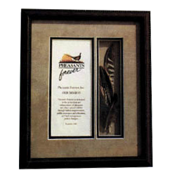 PF-197/PF-198/PF-199 Feather Under Glass(Mission Statement) 