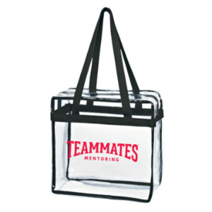 Clear Zippered Tote 